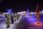 b_150_100_16777215_00_images_salajland_salajlandchristmastree.jpg